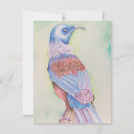 Tui - cartão postal