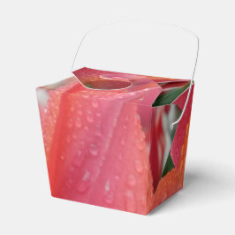 Tulip Água Cai Flor Tira a Caixa de Favoritos