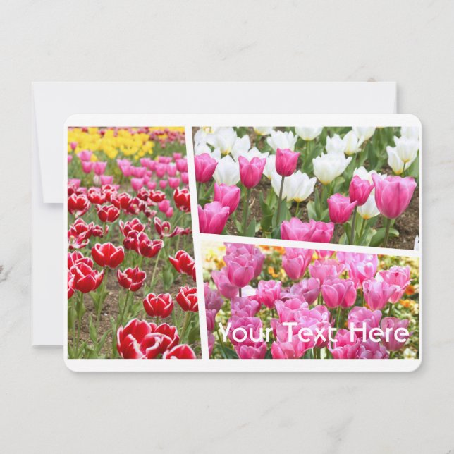 Tulip [Flat Card] (Frente)