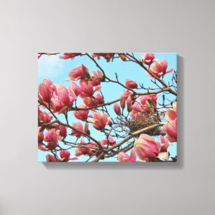 Tulip Magnolia com Birdsnest na Canvas
