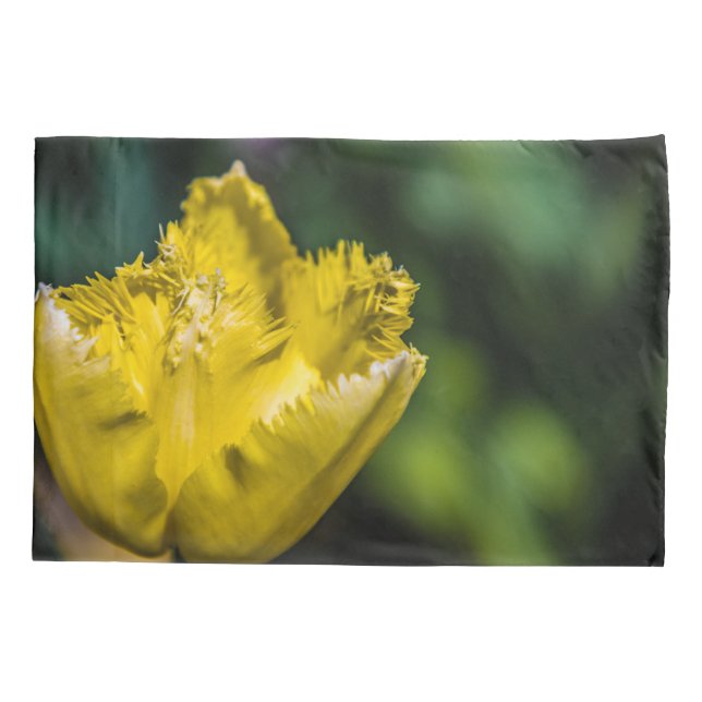 Tulipa Amarela (Verso)