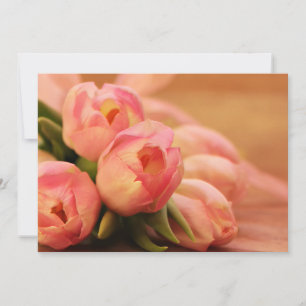Tulipa Borboleta Rosa Romântica