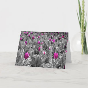 Tulipa, cartão