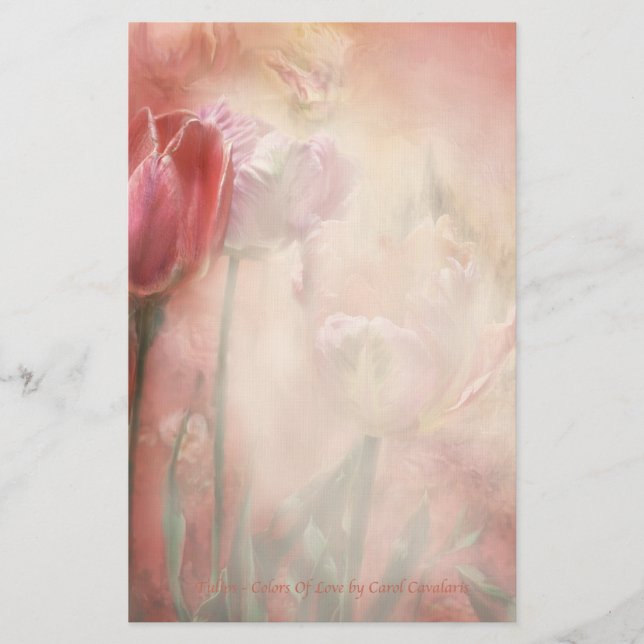 Tulipa-Cores de artigos de papelaria do amor (Frente)