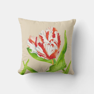 Tulipa Estella Rijnveld numa Almofada