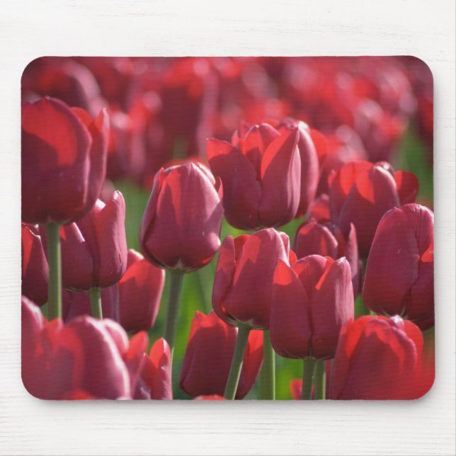 Tulipa Mousepad (Frente)