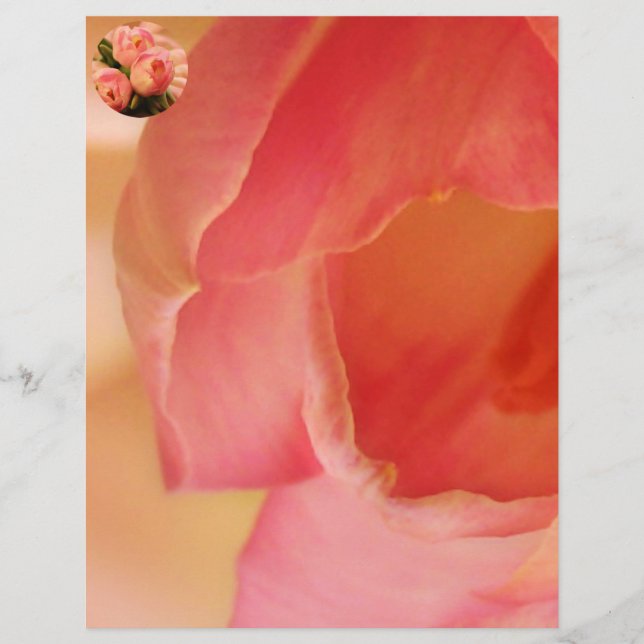 Tulipa Romântica De Borboleta Rosa (Frente)