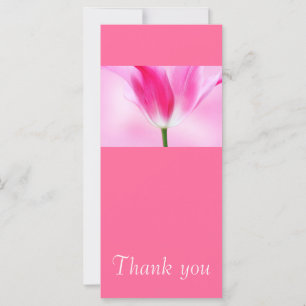 Tulipa Rosa, Cartão de agradecimento