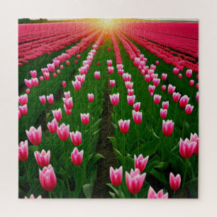 Tulipa Rosa Pintor De Óleo Solar, Quebra-cabeça De