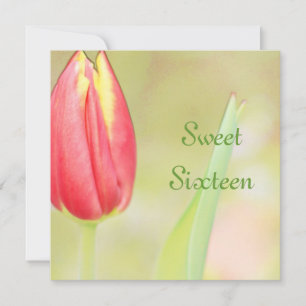 tulipa vermelha, 16 anos de convite