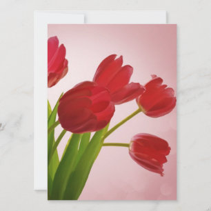 Tulipas