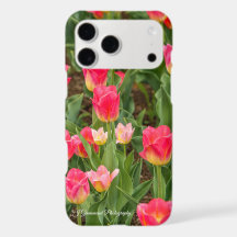 Tulipas