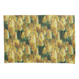 Tulipas Amarelas Sunshine