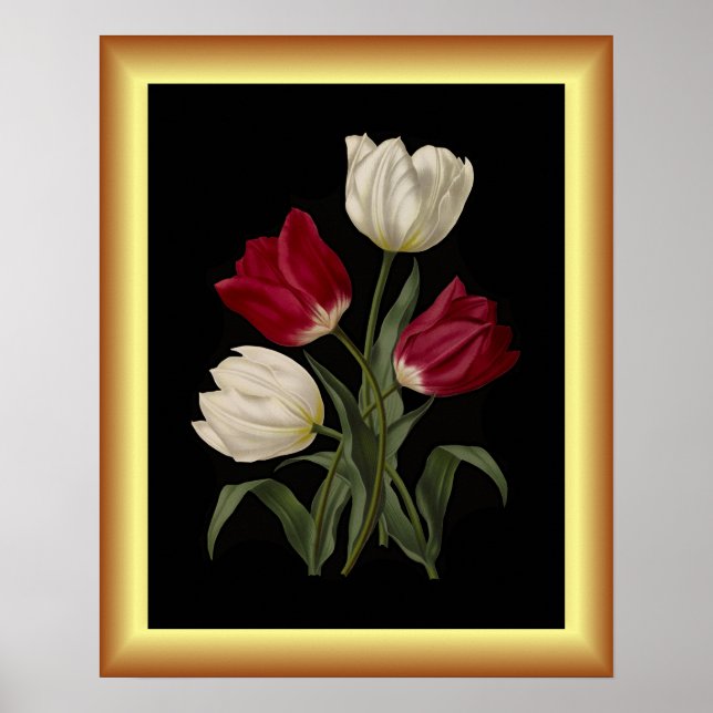 Tulipas Antecipadas Do solteiro ~ Impressão de Art (Frente)