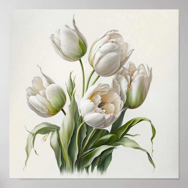 Tulipas brancas Impressão Poster (Frente)