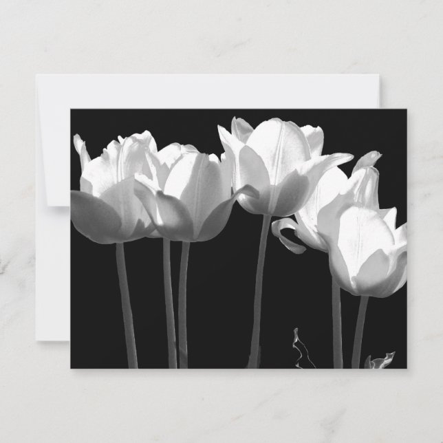 Tulipas, Convite de Casamento B&W (Frente)