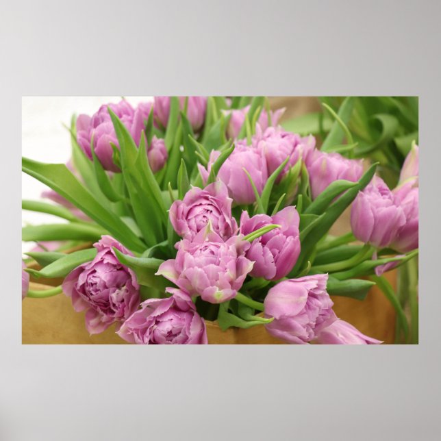 Tulipas cor-de-rosa Poster (Frente)
