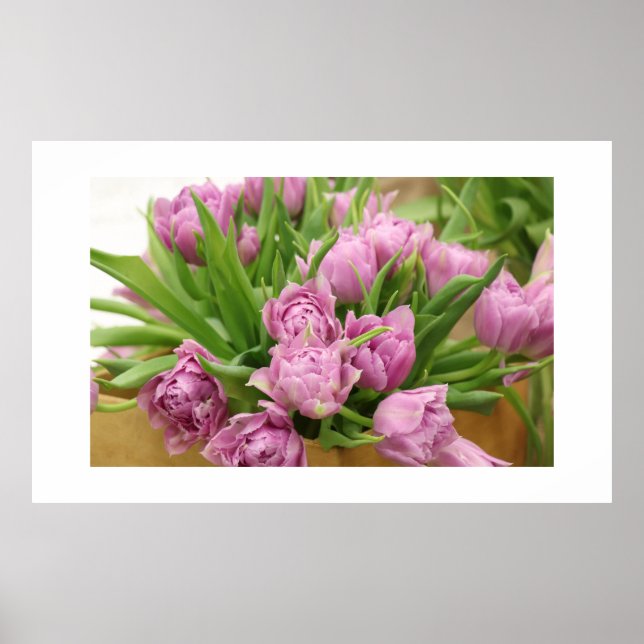 Tulipas cor-de-rosa Poster (Frente)