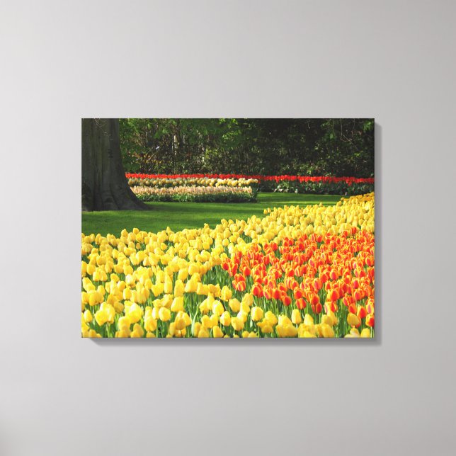 Tulipas de Arte de canvas (Frente)