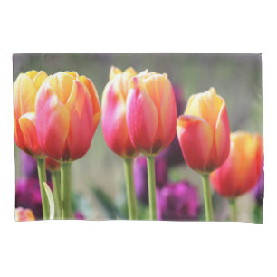 Tulipas de queda Achama