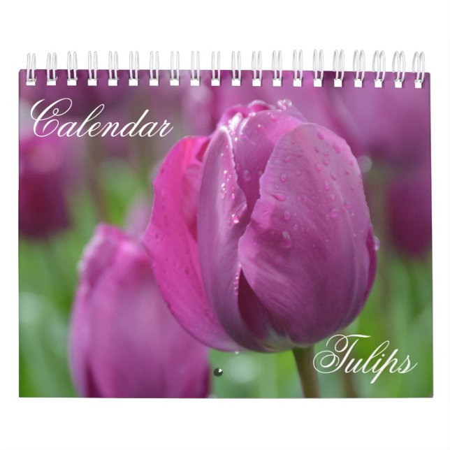 Tulipas do Calendário (Capa)