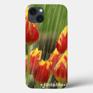 Tulipas do primavera