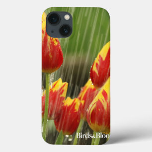 Tulipas do primavera