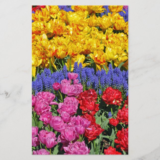 Tulipas e flores de muscari (Frente)