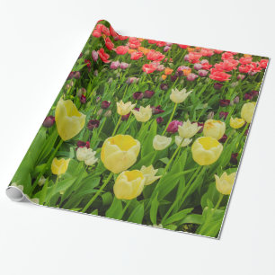 tulipas em Papel de embrulho Brilhante