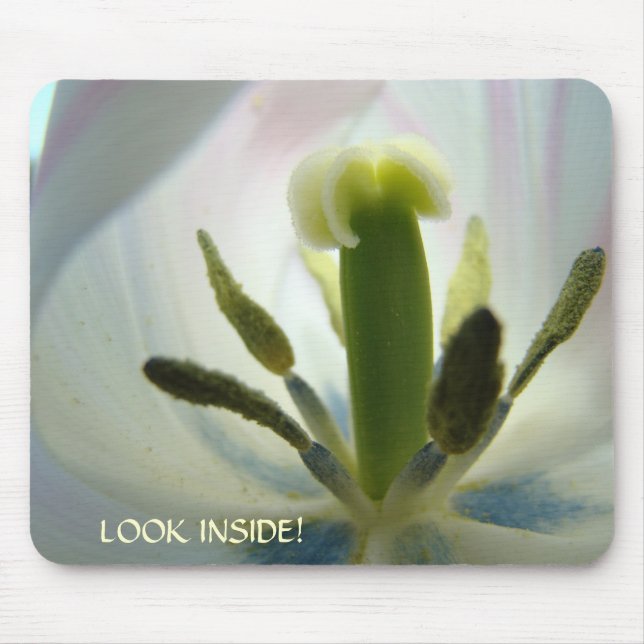 Tulipas Flor OLHE POR DENTRO! mousepad Primavera (Frente)