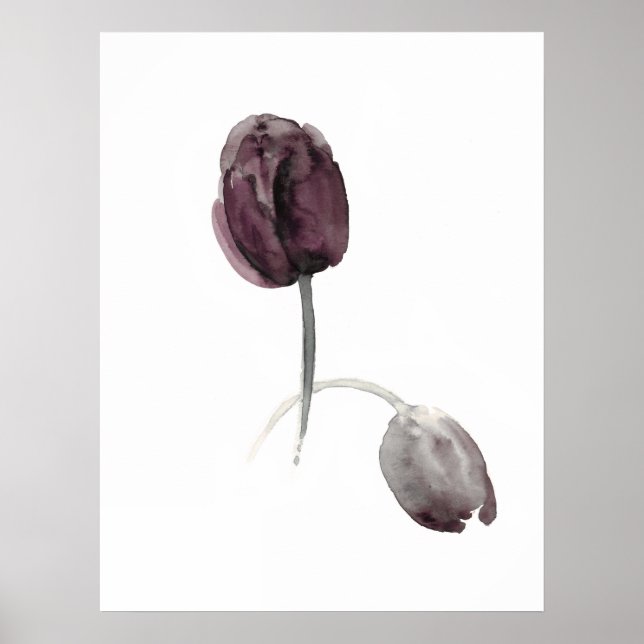 Tulipas flores poster púrpuras brancas (Frente)