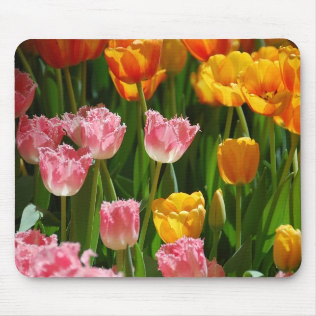 Tulipas Mousepad do primavera (Frente)
