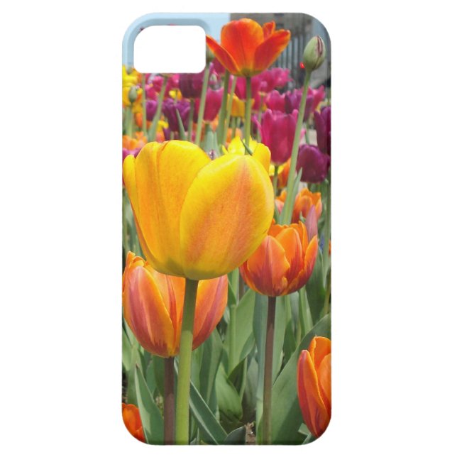 Tulipas nas capas de iphone da brisa (Traseira)