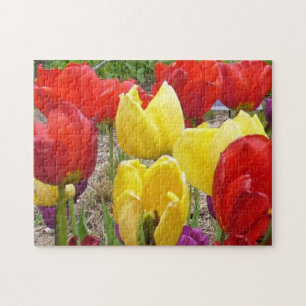 Tulipas no Quebra-cabeça do Jardim