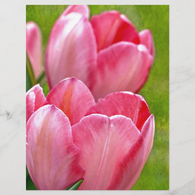 Tulipas Rosa (Frente)