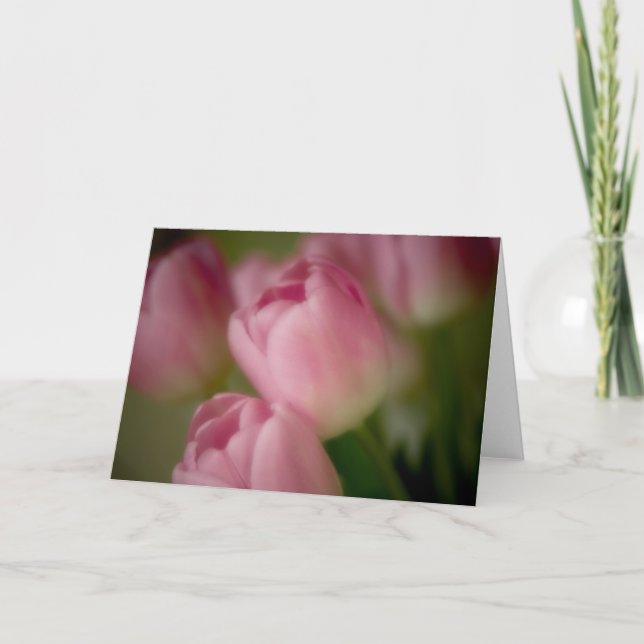 Tulipas Rosa - Cartão de Saudação (Frente)
