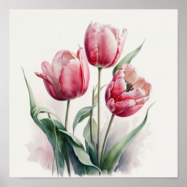 Tulipas rosa Impressão (Frente)