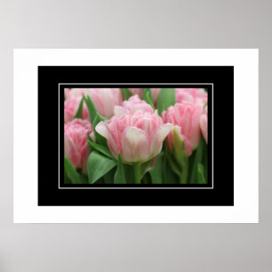 Tulipas Rosa poster