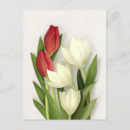 Tulipas Vermelhas e Brancas Cartão Postal Floral