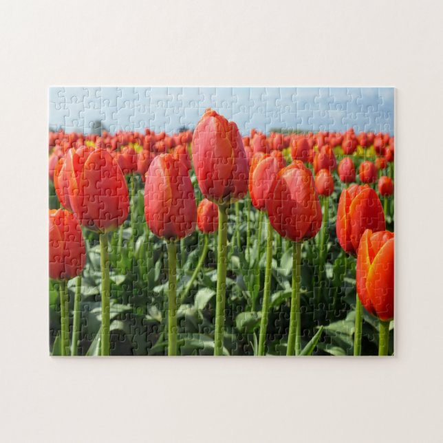 Tulipas vermelhas impressão quebra-cabeça (Horizontal)