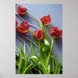 Tulipas vermelhas para o Impressão de Poster Kerst