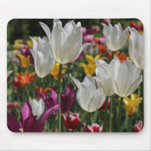 Tulips Mousepad