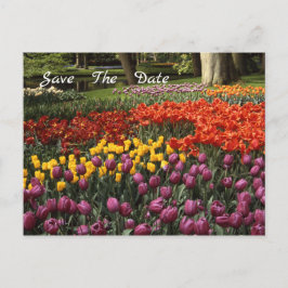 Tulips Salve O Cartão-Postal De Anúncio De Data