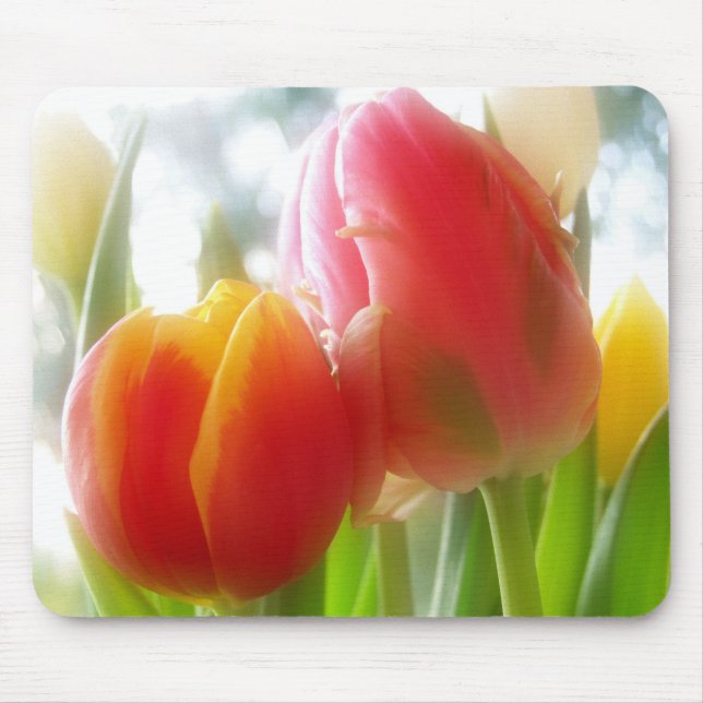 tulipsTWOgether Mousepad (Frente)