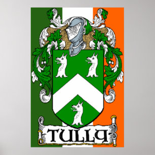 Tully Casaco de Arms Irish Flag Impressão