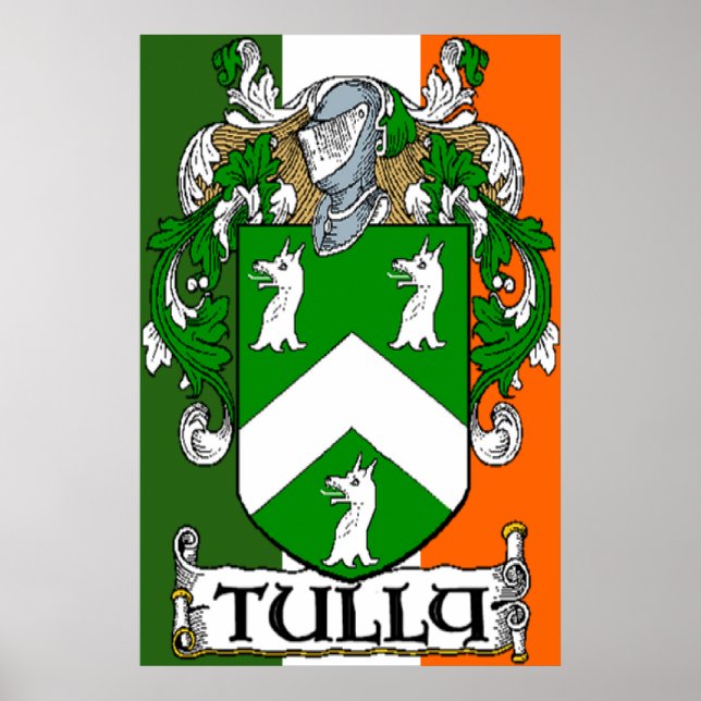 Tully Casaco de Arms Irish Flag Impressão (Frente)