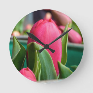 Tulpa Vermelha No Relógio De Parede Da Primavera