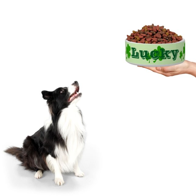 Túmulo verde irlandês - tigela de animais de estim (One lucky dog! treat your pet with a personalized bowl)