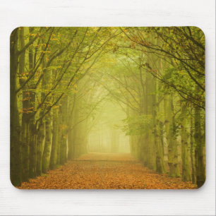Túnel da luz no mousepad da floresta