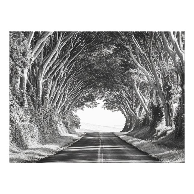 Túnel de Árvores Fotografia Kauai Preto e Branco (Frente)